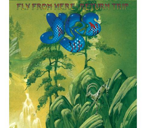 Yes: Fly From HereReturn Trip BD