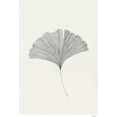The Poster Club Постер 50x70 cm Ginkgo Leaf - Ana Frois - The Poster Club (10428-7)