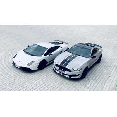 Lamborghini vs Mustang 1 osoba 40 minut