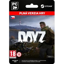 DayZ