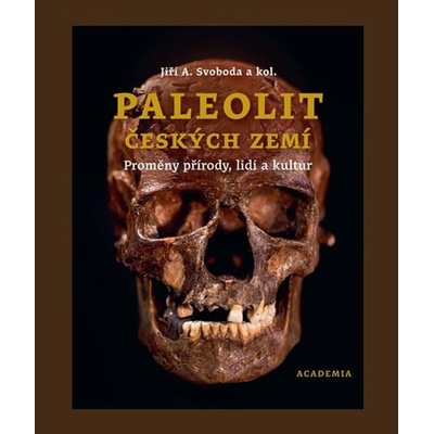 Paleolit českých zemí