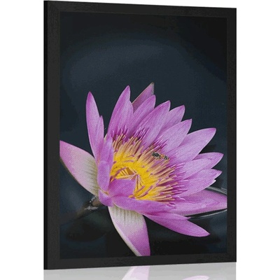 Plakát luční květ - 20x30 black