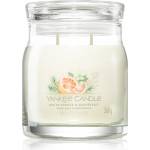 Yankee Candle White Spruce & Grapefruit ароматна свещ 368 гр