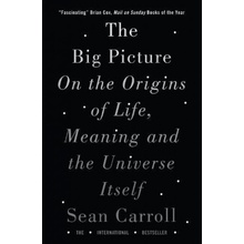 The Big Picture - Sean Carroll