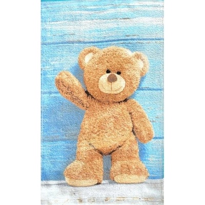 Carbotex Dětský ručníček Medvídek Pacička 30 x 50 cm