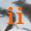Hiigo - II CD