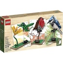 LEGO® Ideas Exclusive 21301 Ptáci