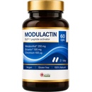 Modulactin 60 kapsúl