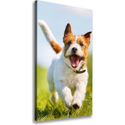 Vertikálny foto obraz na plátne Pes Jack Russell 50x100 cm
