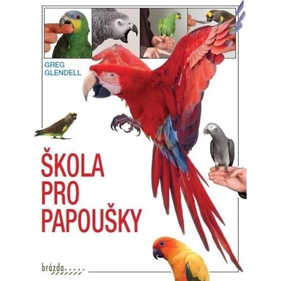 Škola pro papoušky