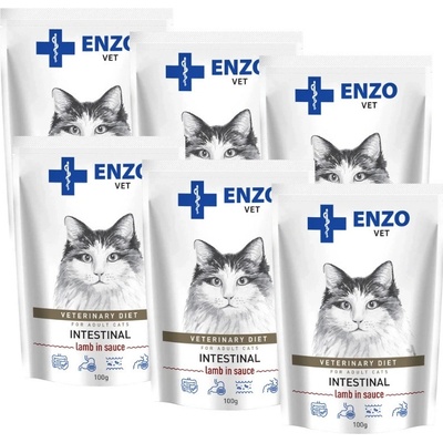 Enzo Vet Intestinal s jahňacím v omáčke 6 x 100 g