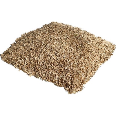 Maják Travní směs hřištní 2 kg