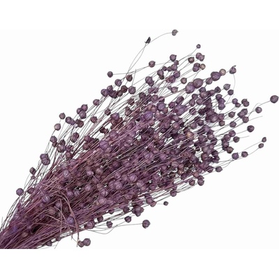 Sušený ľan - kytica cca 100g - fialový