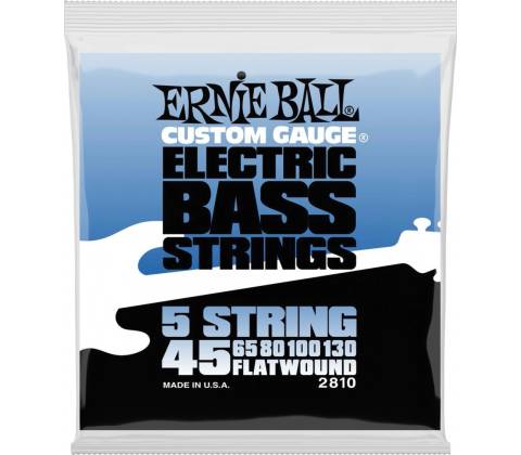Ernie Ball 2810