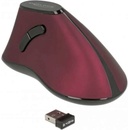 Delock 12528