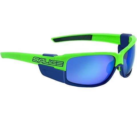 SALICE 015