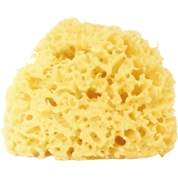 Cose della Natura Избелена Honeycomb-гъба - 12-14 gr