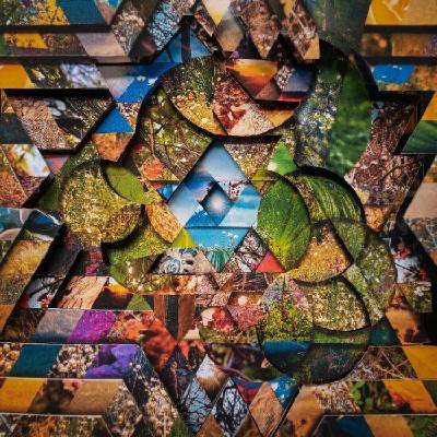 Miguel Atwood-Ferguson - Les Jardins Mystiques Vol. 1 (Limited Edition) (4 LP) (5054429173475)