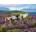 Ravensburger - Puzzle Wild Horses in the Heather - 2 000 piese