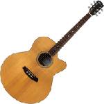 Pasadena PJC-300 Natural Satin Джъмбо китара