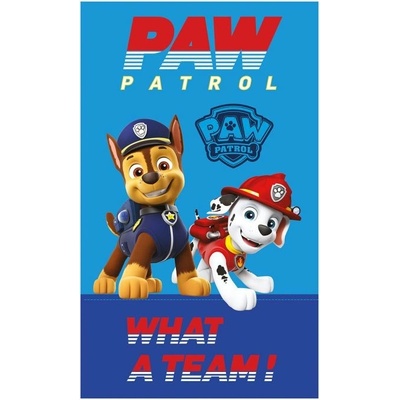 DETEXPOL Dětský ručník Paw Patrol Team , 50x30 cm – Zboží Dáma