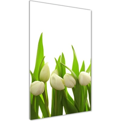 Vertikálny foto obraz sklenený Biele tulipány 50x100 cm