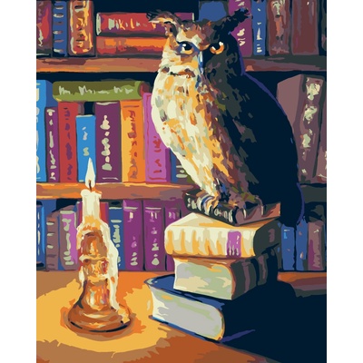 ZUTY Malování podle čísel SOVA V KNIHOVNĚ 40 x 50 cm