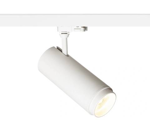 RENDL R13886