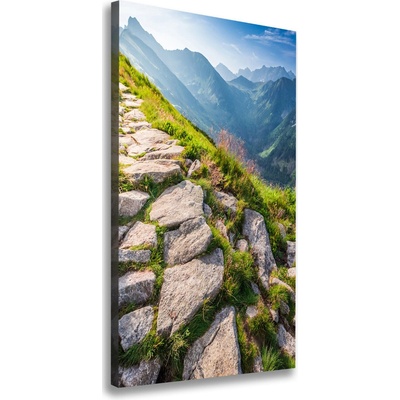 Vertikálny foto obraz canvas Horský chodník 50x100 cm