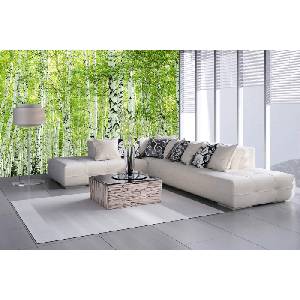 DIMEX ART Самозалепваща се флизелинова фототапета пролетна брезова гора 375 x 250 см