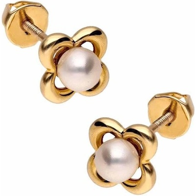 Zlaton náušnice žluté zlato 000401005246