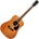 Pasadena PD-450 All Solid Vintage Natural Акустична китара