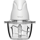 TESLA FC 302W