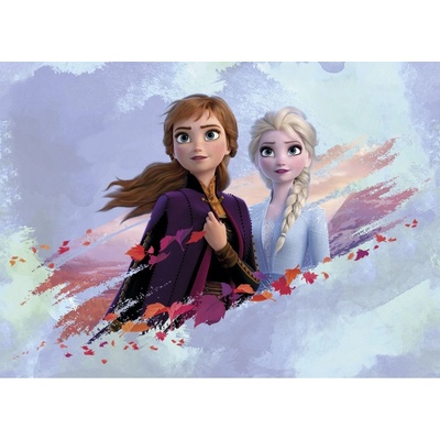AG Design FTDNM-5263 Dětská vliesová fototapeta Disney Ledové království 2 160 x 110 cm