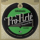 D'ADDARIO EJ25C