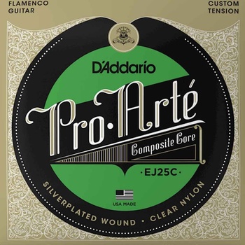 D'ADDARIO EJ25C