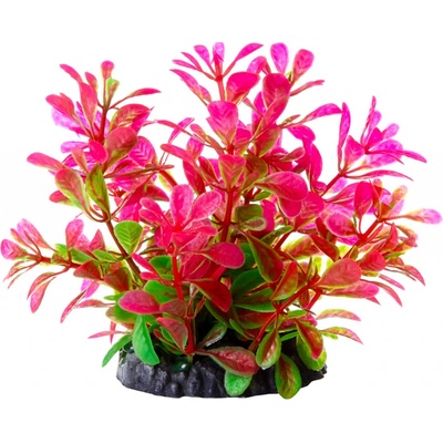 JK ANIMALS Ludwigia ružová 10 cm