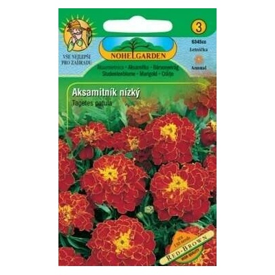 Nohel Garden Aksamitník nízký Tagetes patula