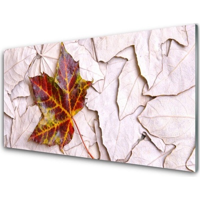Obraz na skle Listy Rostlina 100x50 cm