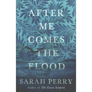 After Me Comes the Flood | Sarah Perry (ISBN: 9781781259559)