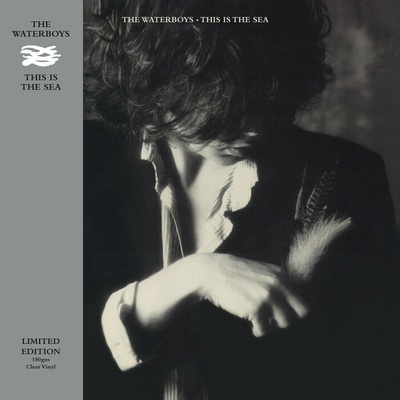 The Waterboys - This Is The Sea (Limited Edition) (Clear Coloured) (LP) (0810098504669)