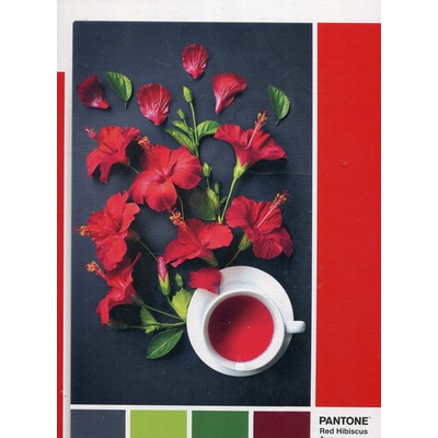 Clementoni Pantone Годжи Бери Пъзел Унисекс 1000 бр