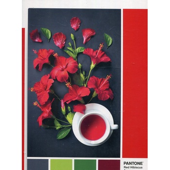 Clementoni Pantone Годжи Бери Пъзел Унисекс 1000 бр