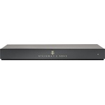 Steinway & Sons A1 Усилватели