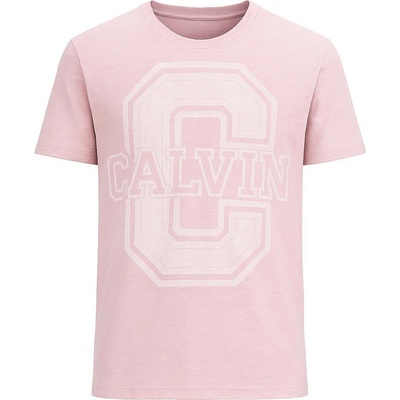 Calvin Klein pánské tričko Krátkým Rukávem Key Mist
