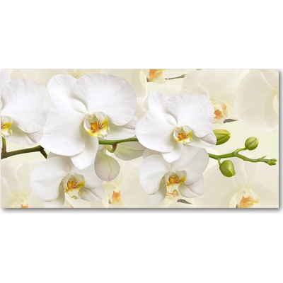 Fotoobraz na skle orchidea 100x50 cm