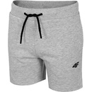 4F HJL22 JSKMD001 Cold light grey melange