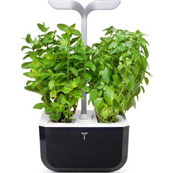 Veritable Саксия Veritable Exky Smart бледо черна (VPOT-SAWAS-EU2-163)