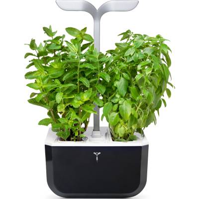 Veritable Саксия Veritable Exky Smart бледо черна (VPOT-SAWAS-EU2-163)