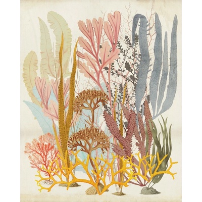 Komar Vliesová fototapeta Catchy Corals 200 x 250 cm
